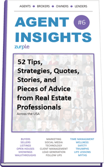 ZP - Agent Insights #6 eBook (2020) - Display